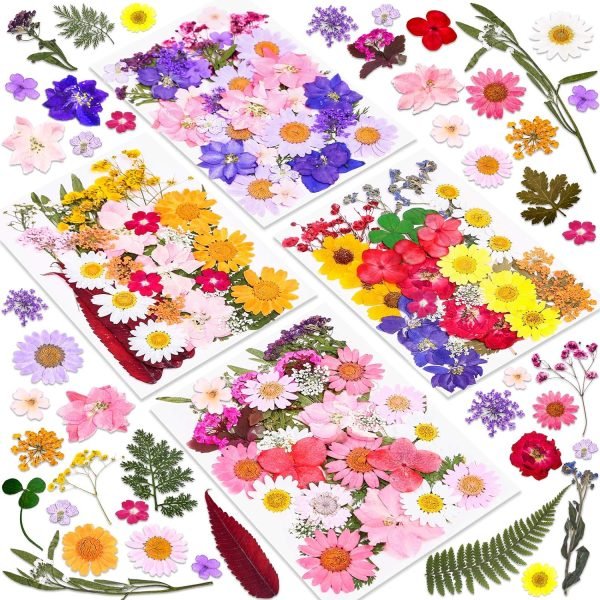 91uYFkDNNyL._AC_SL1500_.jpg 140 Pcs Dried Pressed Flowers for Resin, Real Pressed Flowers Dry Leaves Bulk Natural Herbs Kit for Scrapbooking DIY Art Crafts, Epoxy Resin Jewelry Molds, Candle, Soap Making, Nails Décor